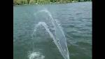 water-pump-deep-ue5